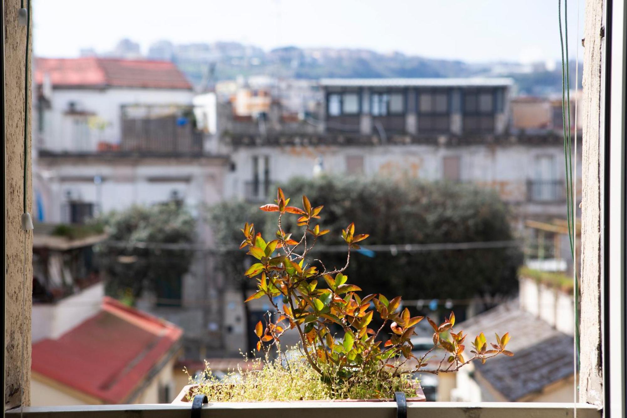 Bnb Etnuvio, Double Rooms In Naples Exterior photo